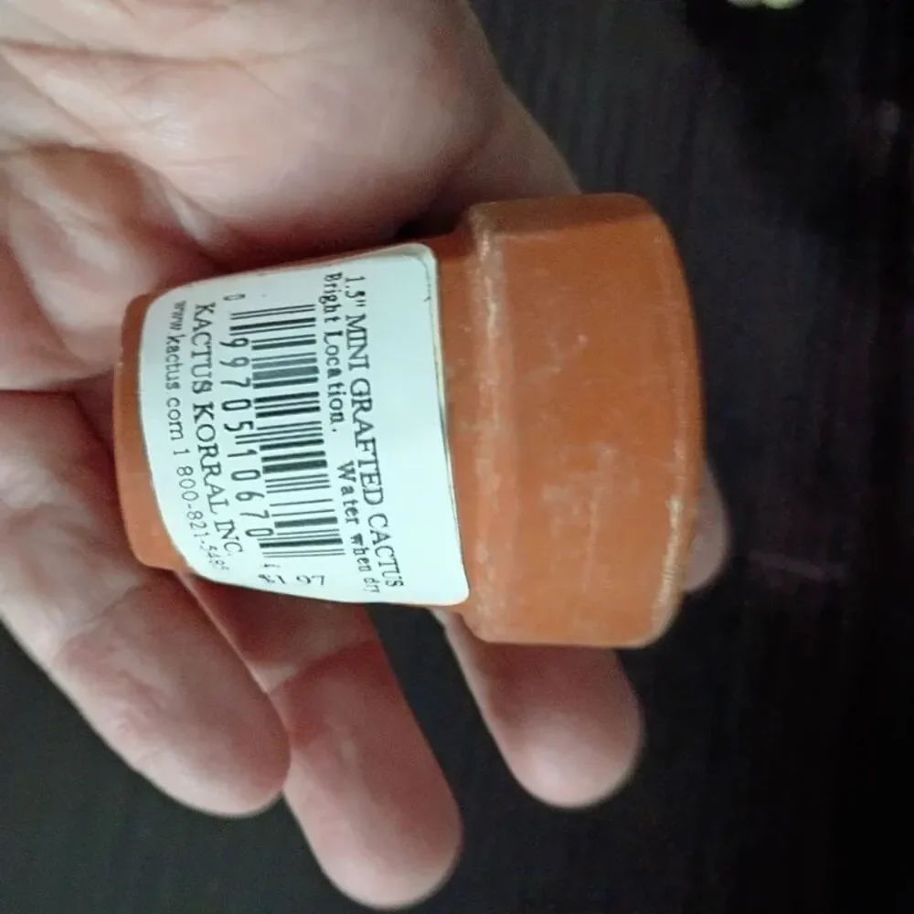 N/A vintage ceramic